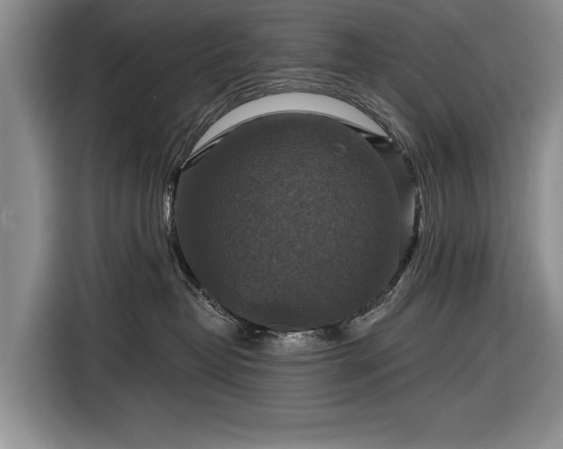 X0000116590382200912171558