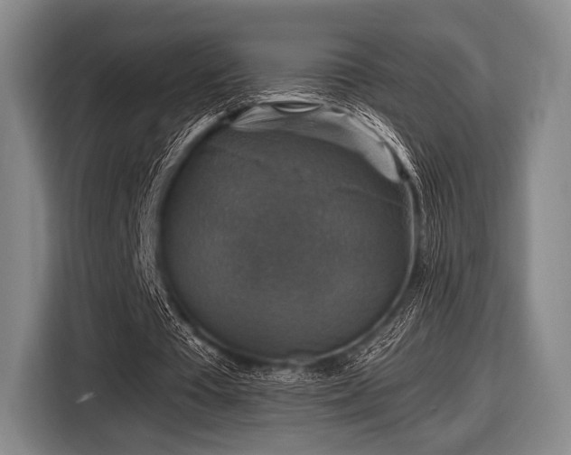 X0000116590385200912171557