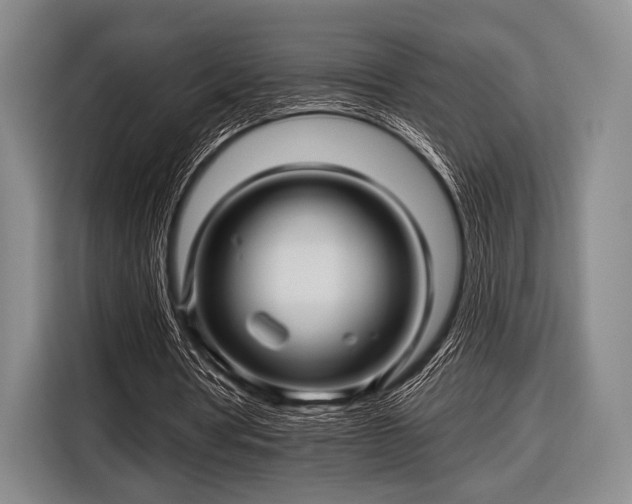 X0000116590386200912171557