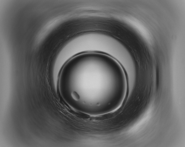 X0000116590387200912171557