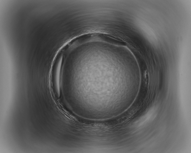 X0000116590388200912171557