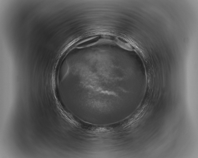 X0000116590390200912171557