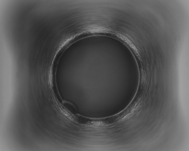 X0000116590391200912171557