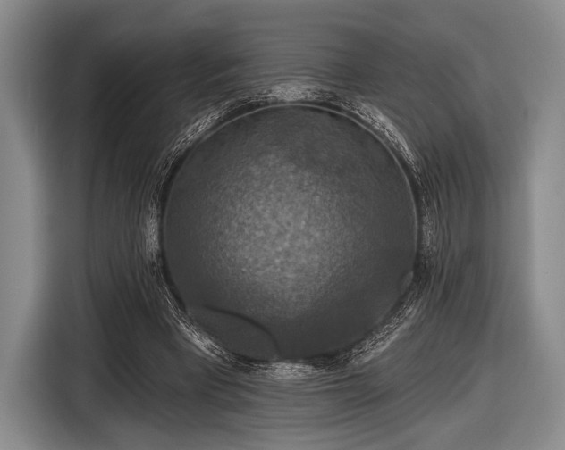 X0000116590393200912171557