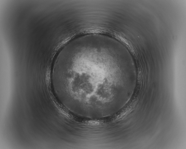 X0000116590394200912171557