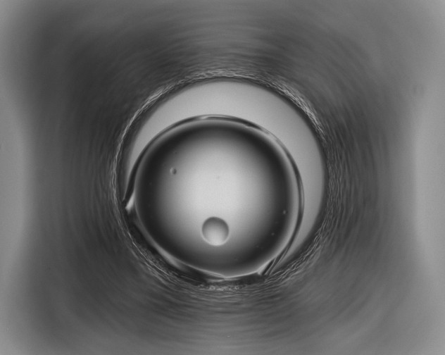 X0000116590395200912171557