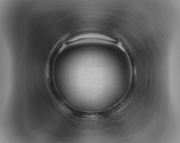 X0000116590396200912171557