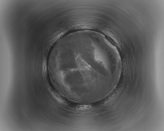 X0000116590398200912171557