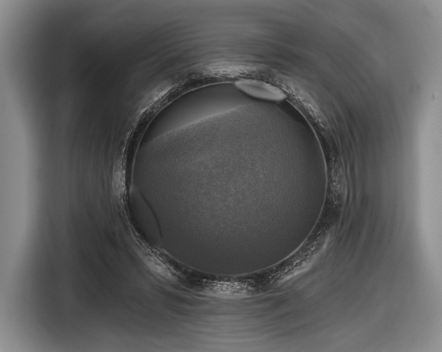 X0000116590399200912171557