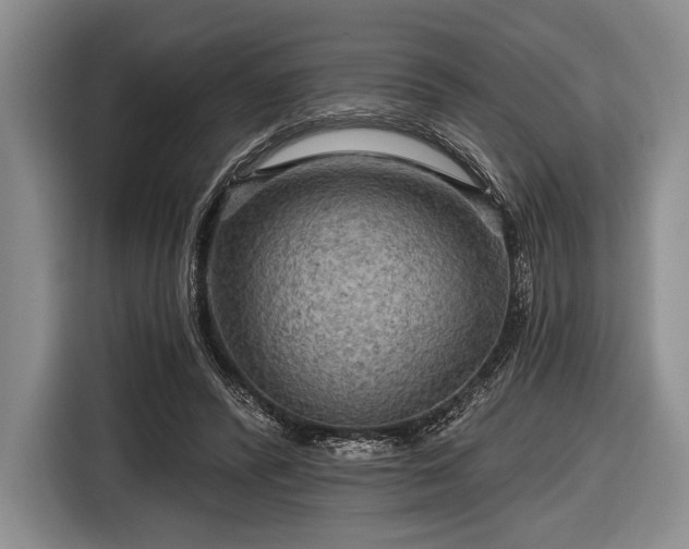 X0000116590400200912171557