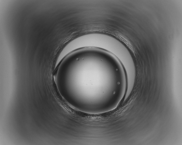 X0000116590401200912171557