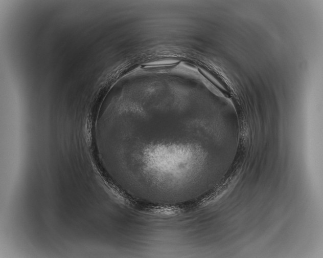 X0000116590402200912171557