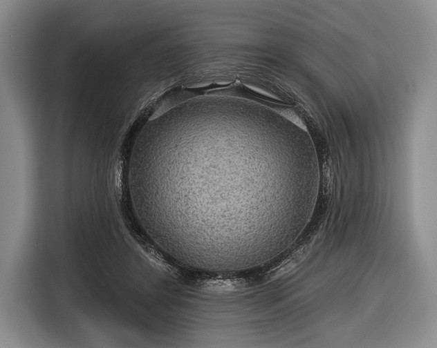 X0000116590404200912171557