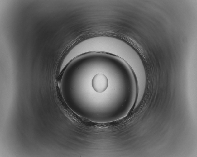 X0000116590405200912171557