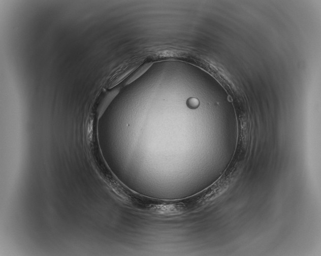 X0000116590406200912171557