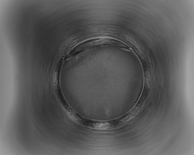 X0000116590410200912171557