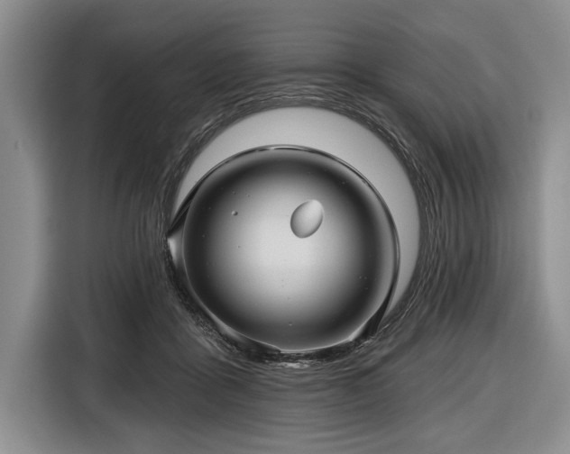 X0000116590411200912171557