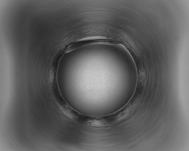 X0000116590412200912171557