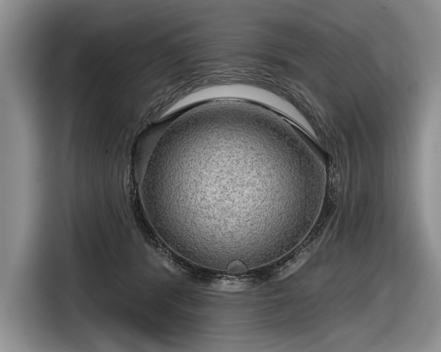 X0000116590416200912171557