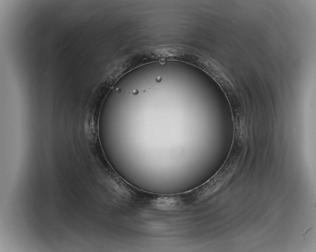 X0000116590418200912171557