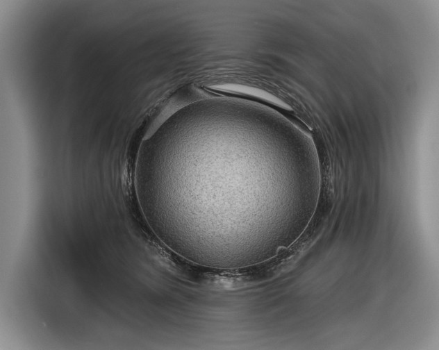 X0000116590420200912171557