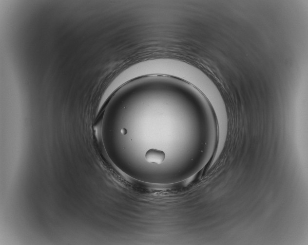 X0000116590423200912171557