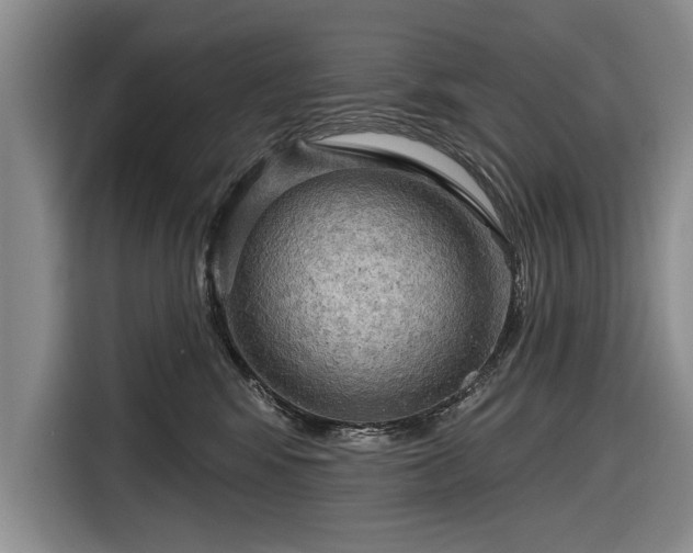 X0000116590424200912171557