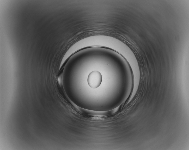 X0000116590425200912171557