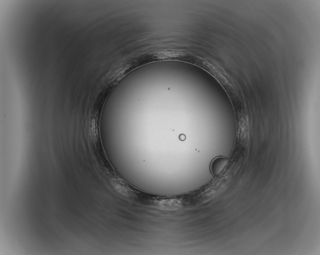 X0000116590426200912171557