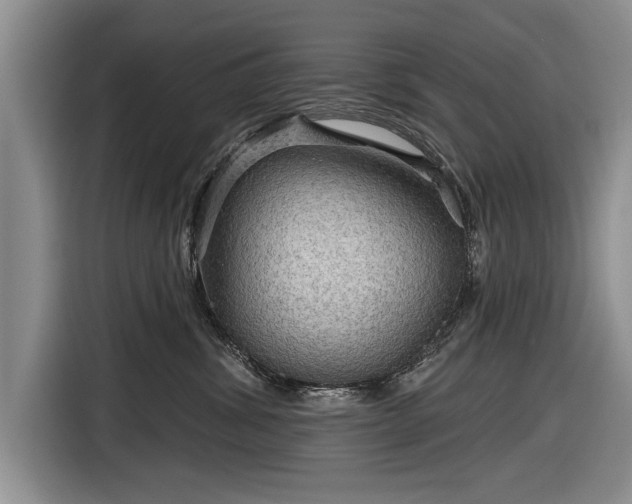 X0000116590428200912171557