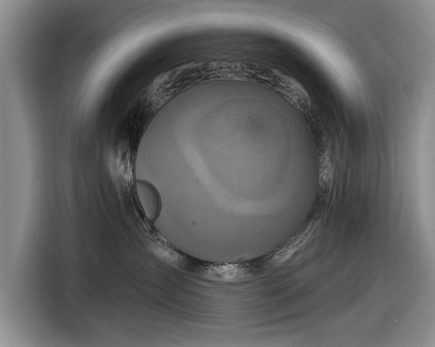 X0000116590431200912171557