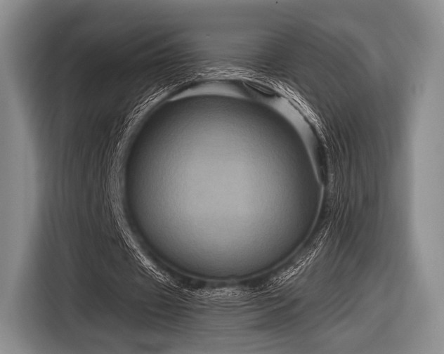 X0000116590433200912171556