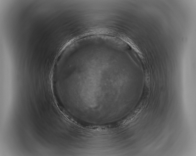 X0000116590434200912171556