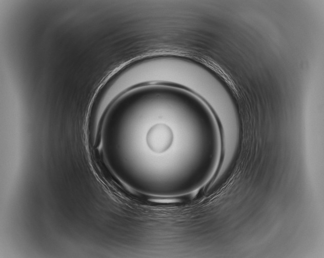 X0000116590436200912171556