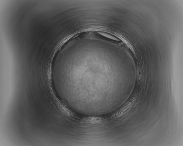 X0000116590437200912171556