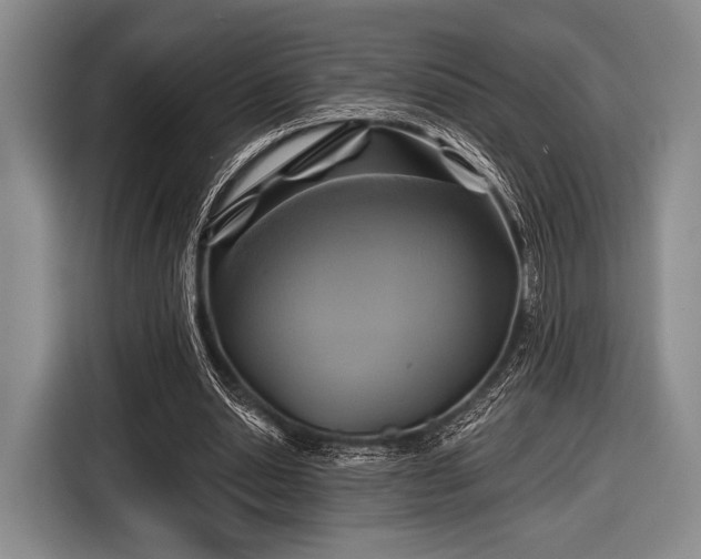 X0000116590438200912171556