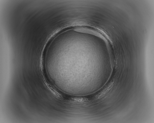 X0000116590439200912171556