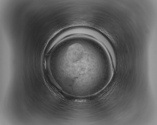 X0000116590440200912171556