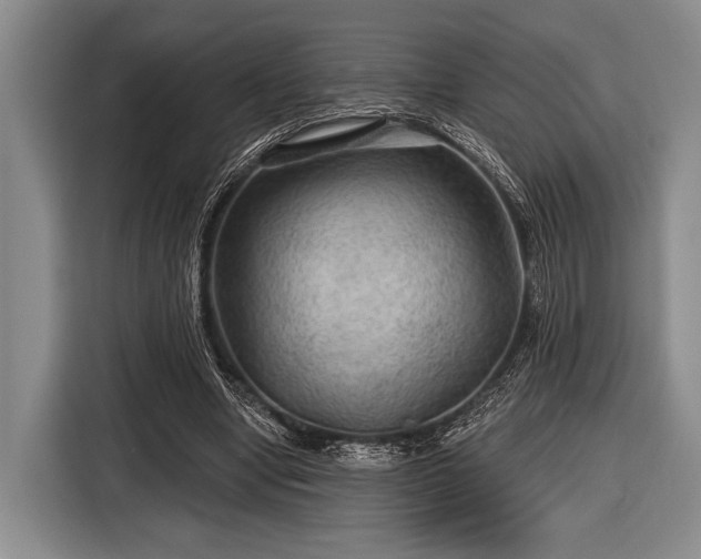 X0000116590442200912171556