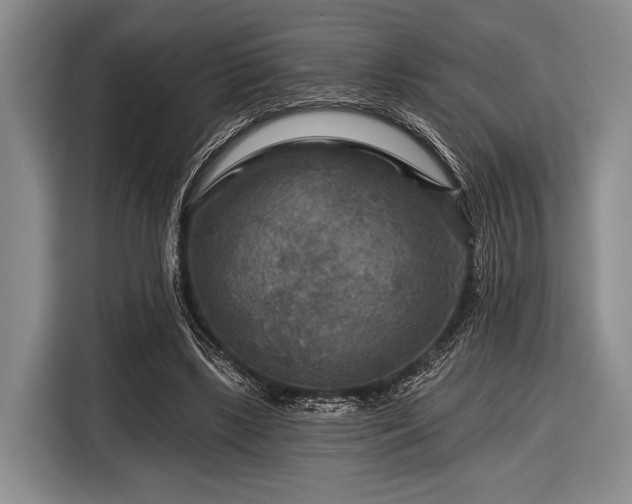 X0000116590443200912171556