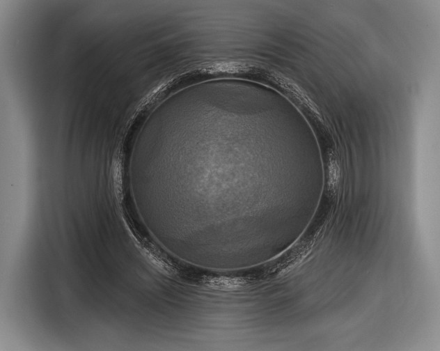 X0000116590444200912171556