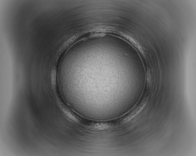 X0000116590445200912171556