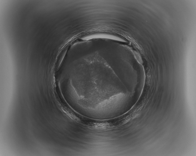 X0000116590446200912171556