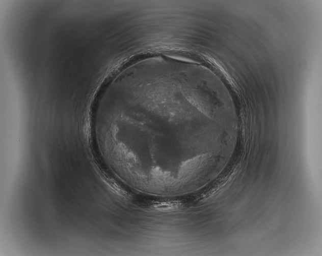 X0000116590447200912171556