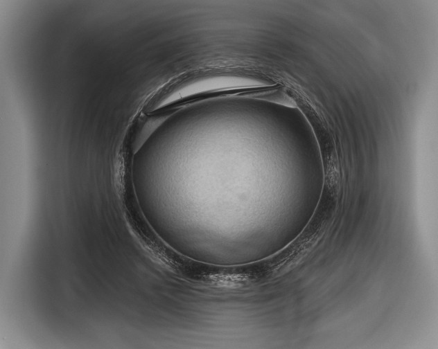 X0000116590448200912171556