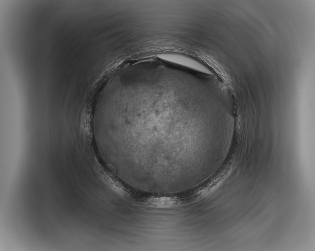 X0000116590449200912171556