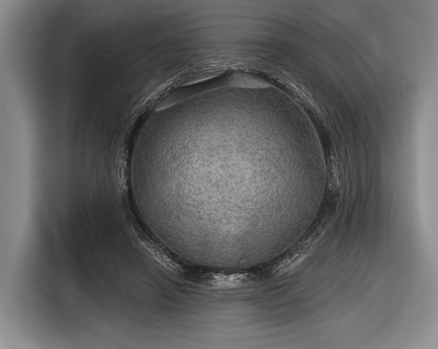 X0000116590450200912171556