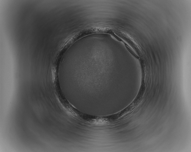 X0000116590451200912171556