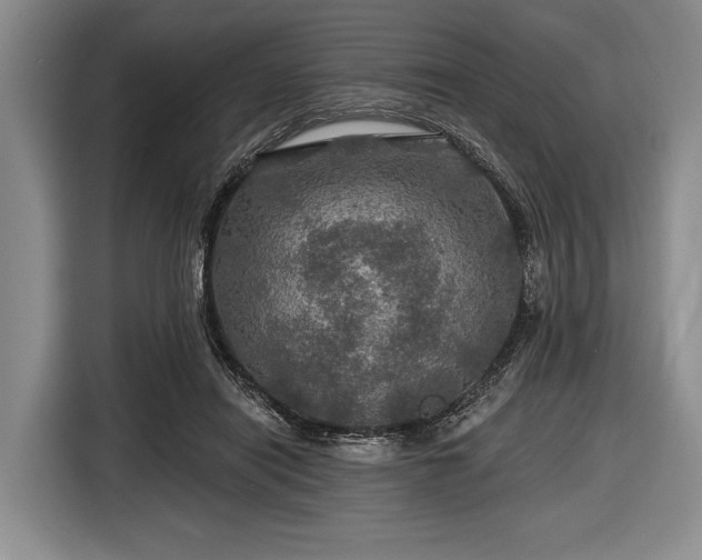 X0000116590454200912171556