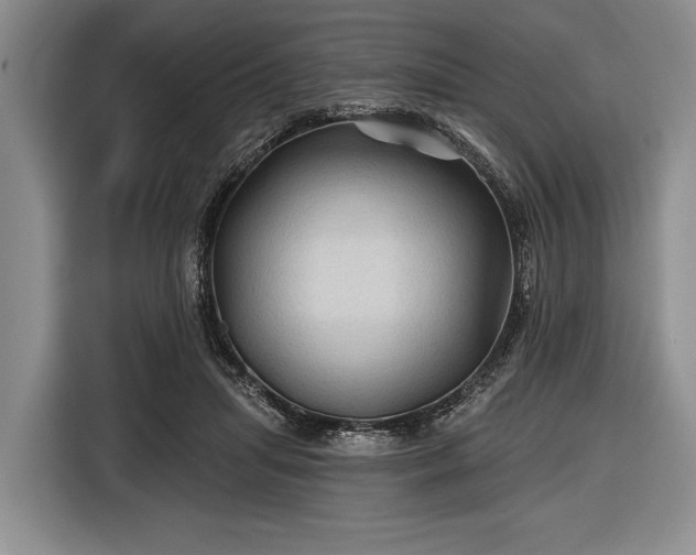 X0000116590455200912171557